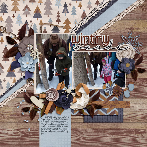 Wintry Woods
