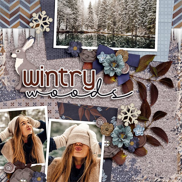 Wintry Woods