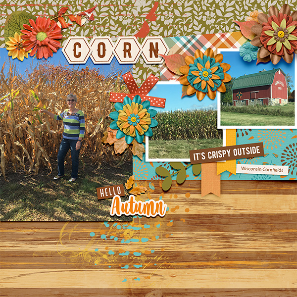 Wisconsin Corn