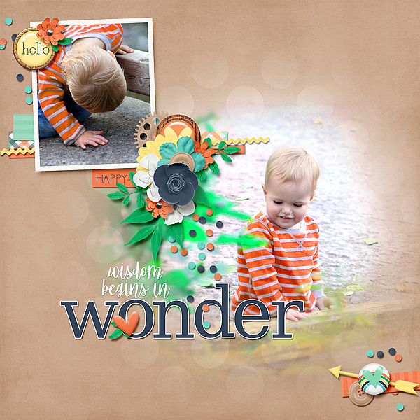 Wisdom in Wonder
