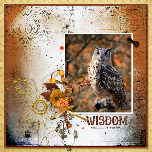 Wisdom