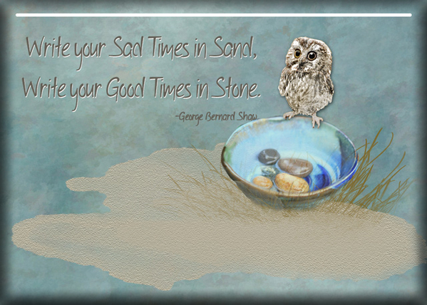Wise Owl