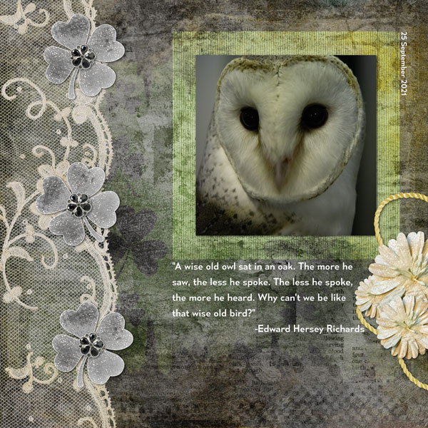 Wise Owl