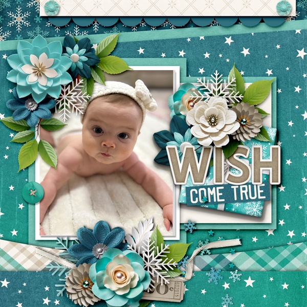 Wish Come True