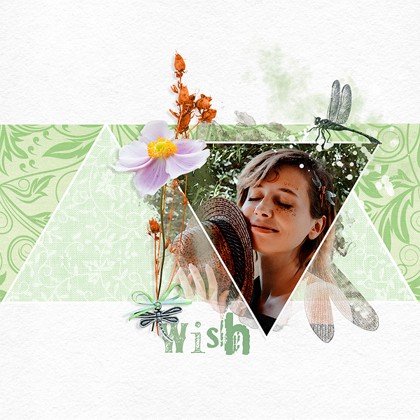 wish