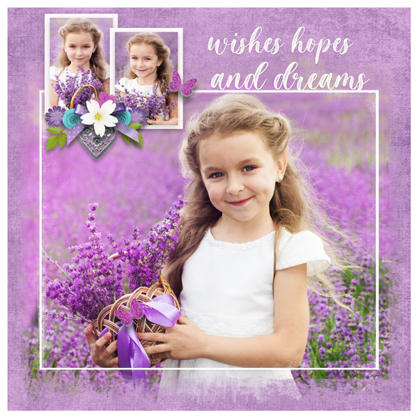 Wishes Hopes + Dreams