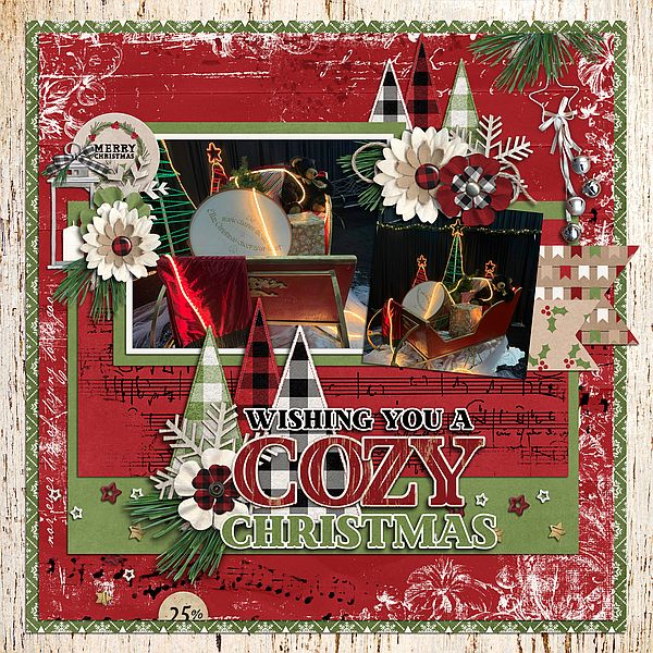 Wishing you a Cozy Christmas