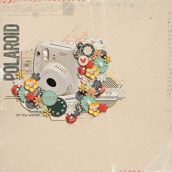WishList: Polaroid