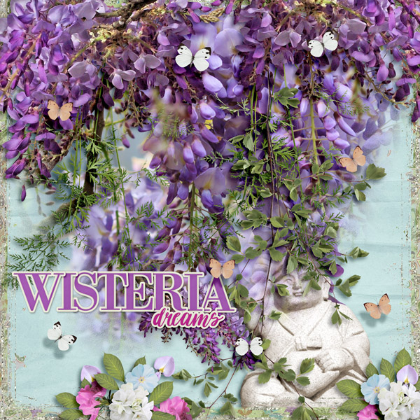 Wisteria Dreams