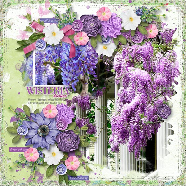 WISTERIA DREAMS