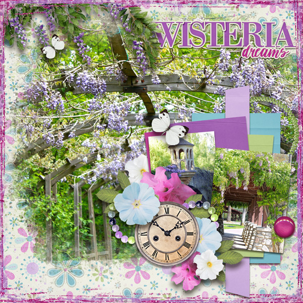 Wisteria Dreams