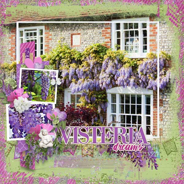 Wisteria Dreams