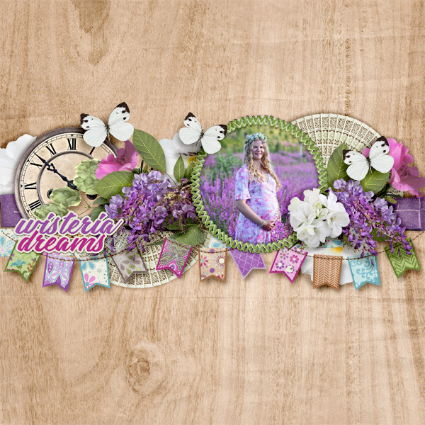 Wisteria-dreams
