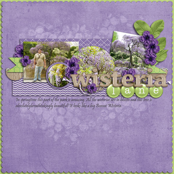 Wisteria Lane