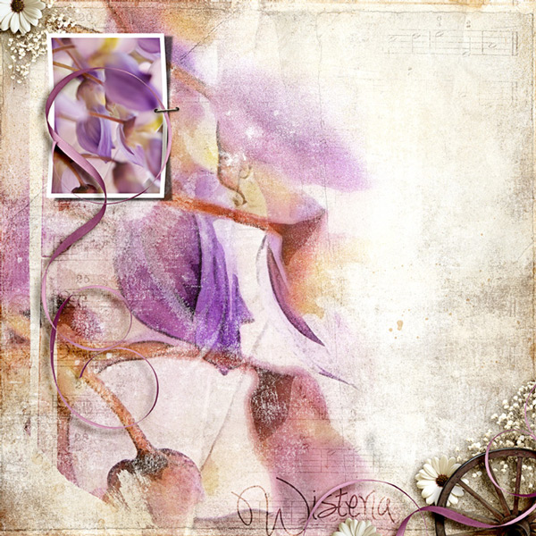 Wisteria