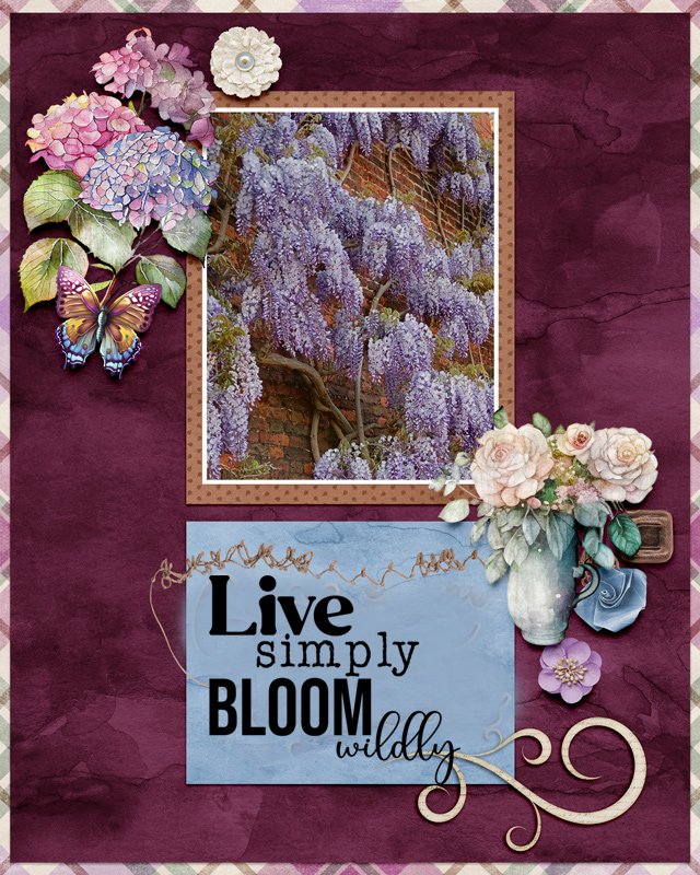 wisteria