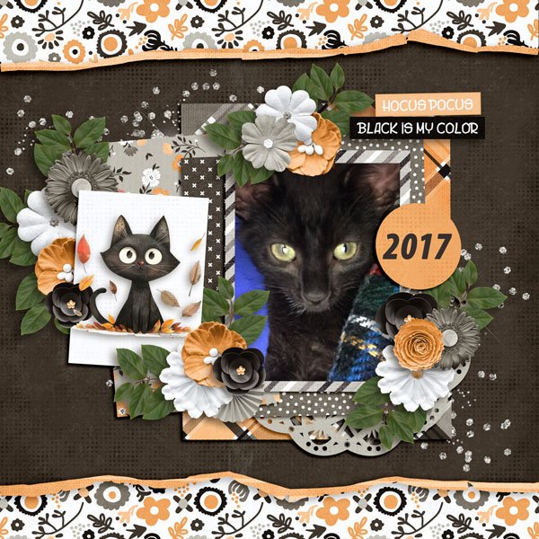 Witch-and-Cat and-Aprilisa PP270