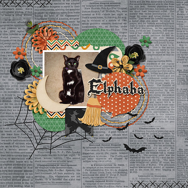 witch-cat