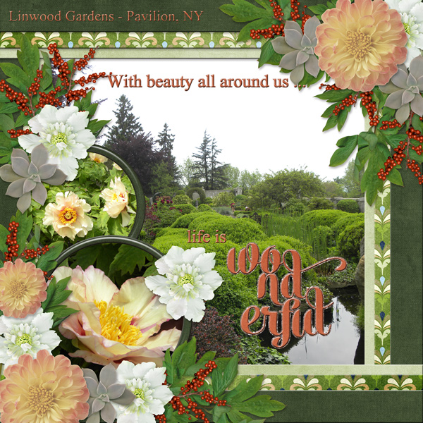 With beauty all around us... life is WONDERFUL
