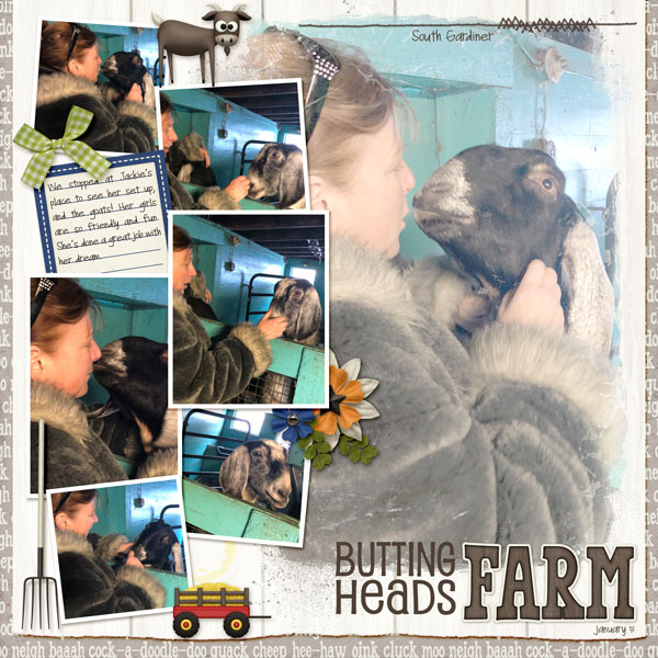 with goats