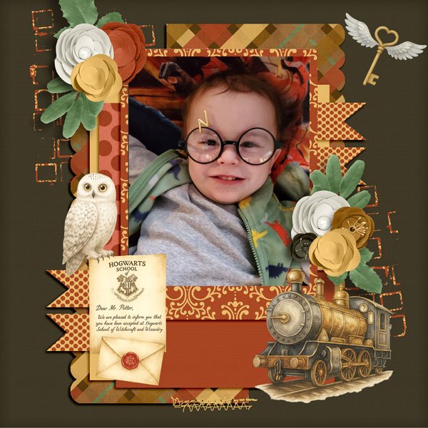 Wizard-School-and-PP315.jpg