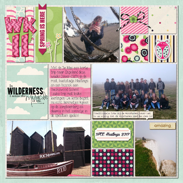 Wk 11A