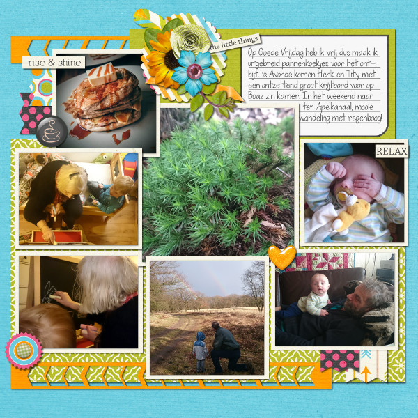 Wk 12B