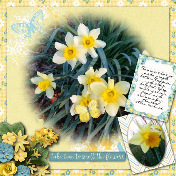 Wk 2 {Blend Well} Daffodils