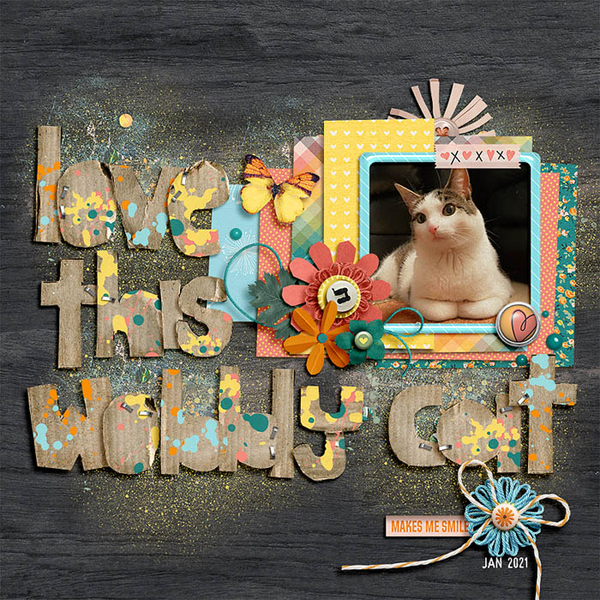 wobbly cat