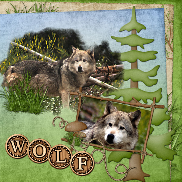 Wolf