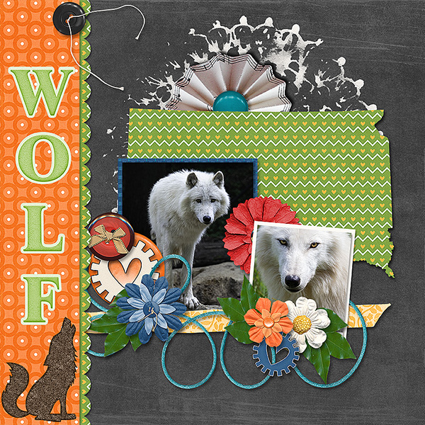 Wolf
