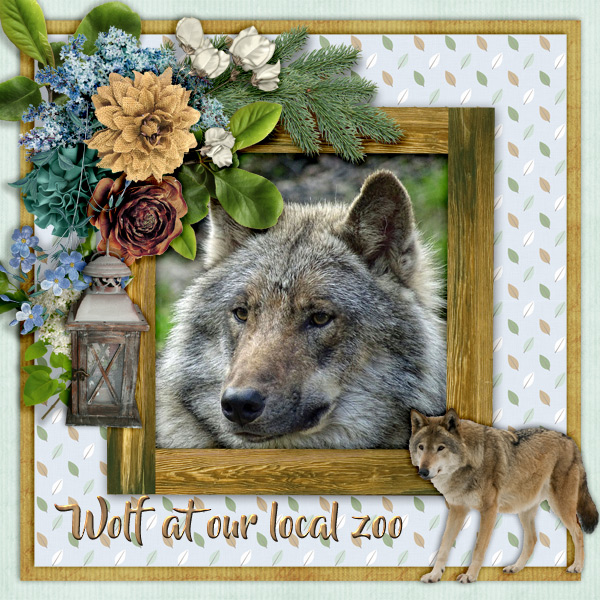 Wolf1