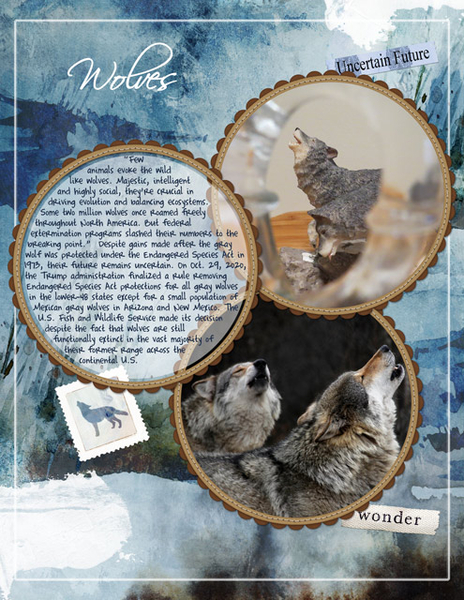 Wolves