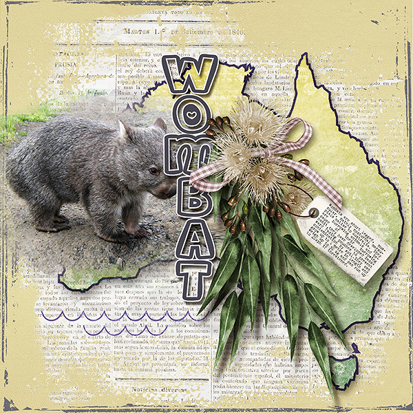 Wombat