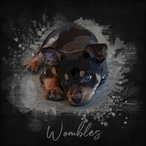 Wombles