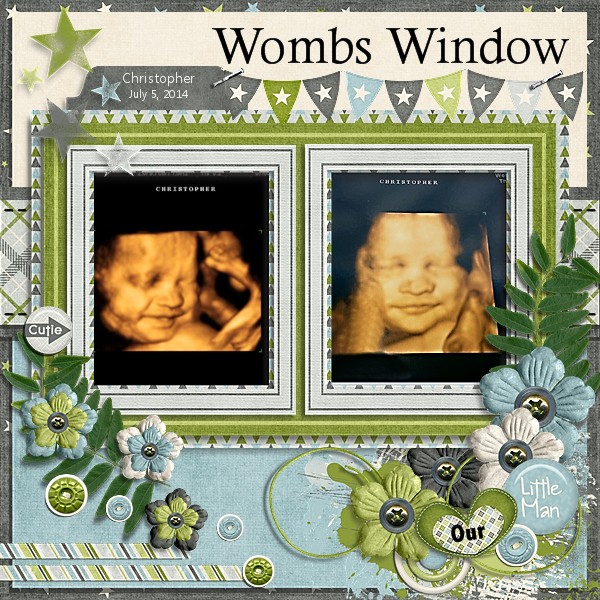 Wombs Window 2014