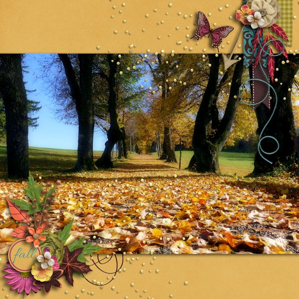 Wonde-Fall