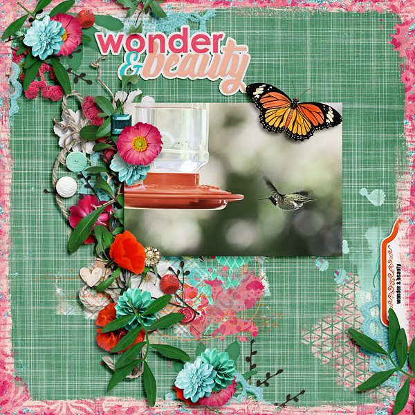 Wonder + Beauty