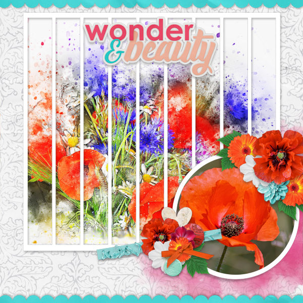 Wonder + Beauty
