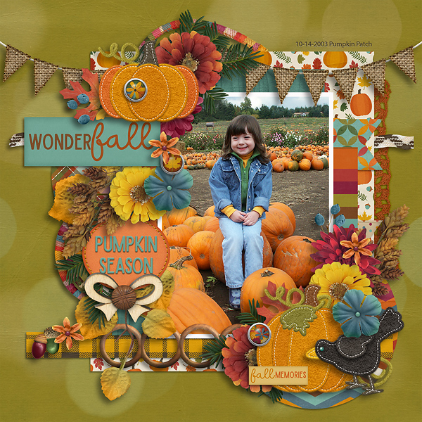 Wonder Fall Pumpkin Patch