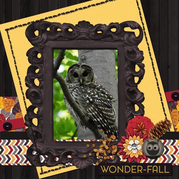Wonder-Fall