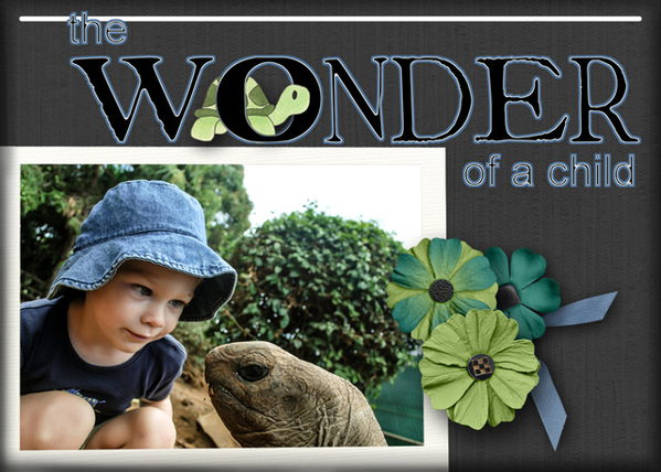 Wonder of a Child