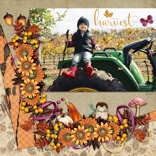 Wonder of Fall