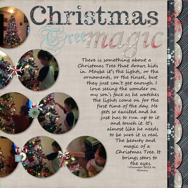 Wonder of the Christmas Tree