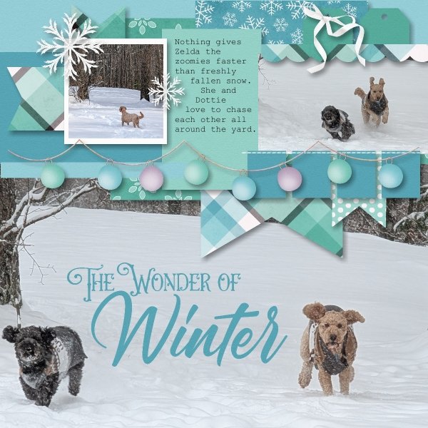 Wonder of Winter 2025.jpg