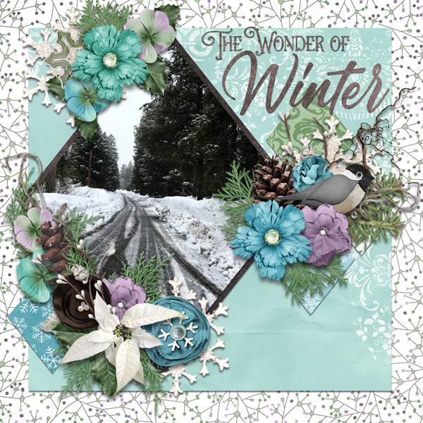 wonder of winter