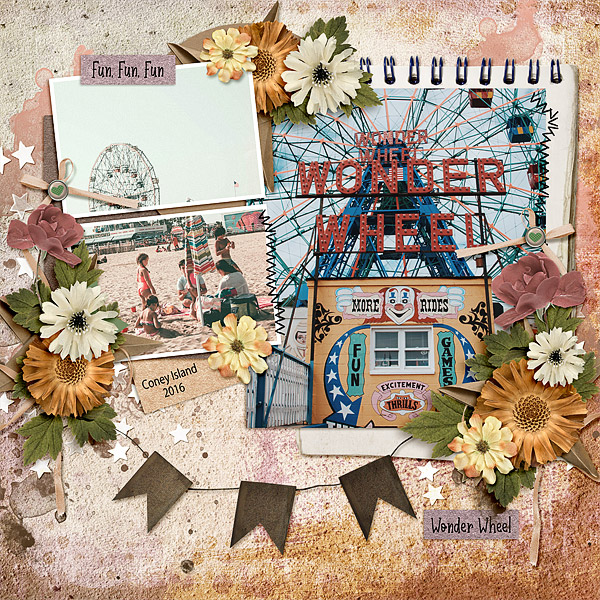 Wonder Wheel