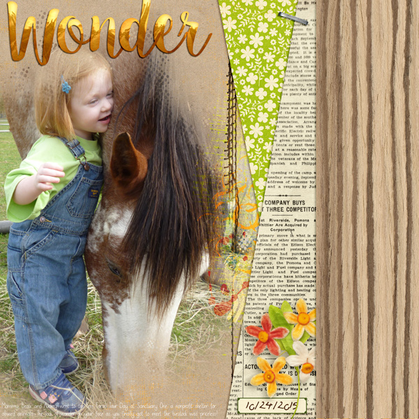 Wonder
