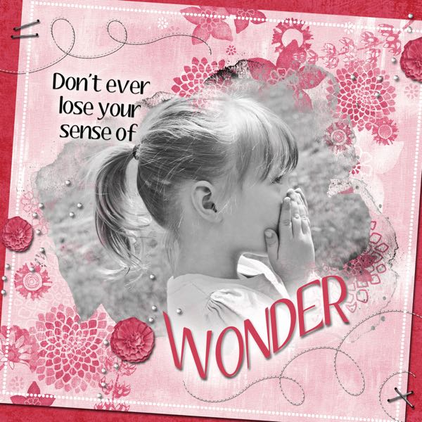 Wonder