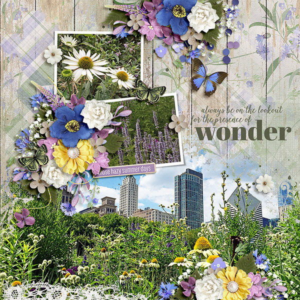 wonder